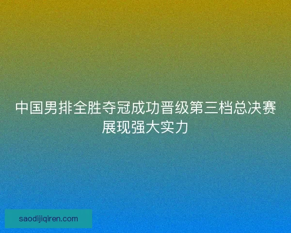 中国男排全胜夺冠成功晋级第三档总决赛展现强大实力 中国男排全胜夺冠成功晋级第三档总决赛展现强大实力
