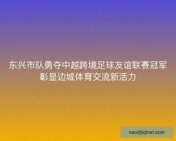 东兴市队勇夺中越跨境足球友谊联赛冠军彰显边城体育交流新活力