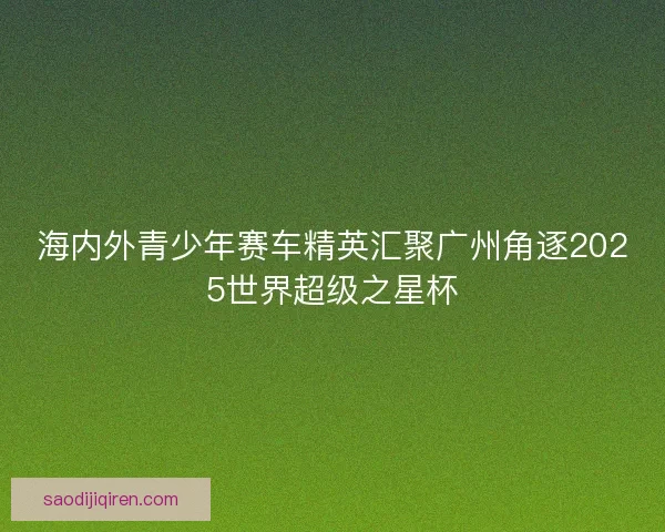 海内外青少年赛车精英汇聚广州角逐2025世界超级之星杯